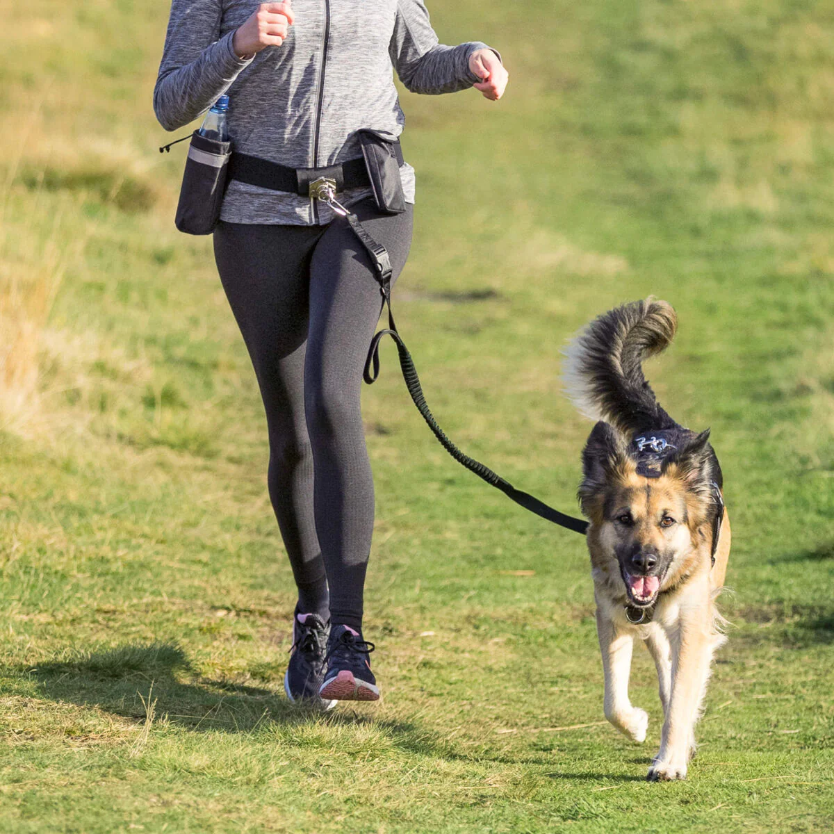 Hands Free Jogging Belt & Lead - Image 2
