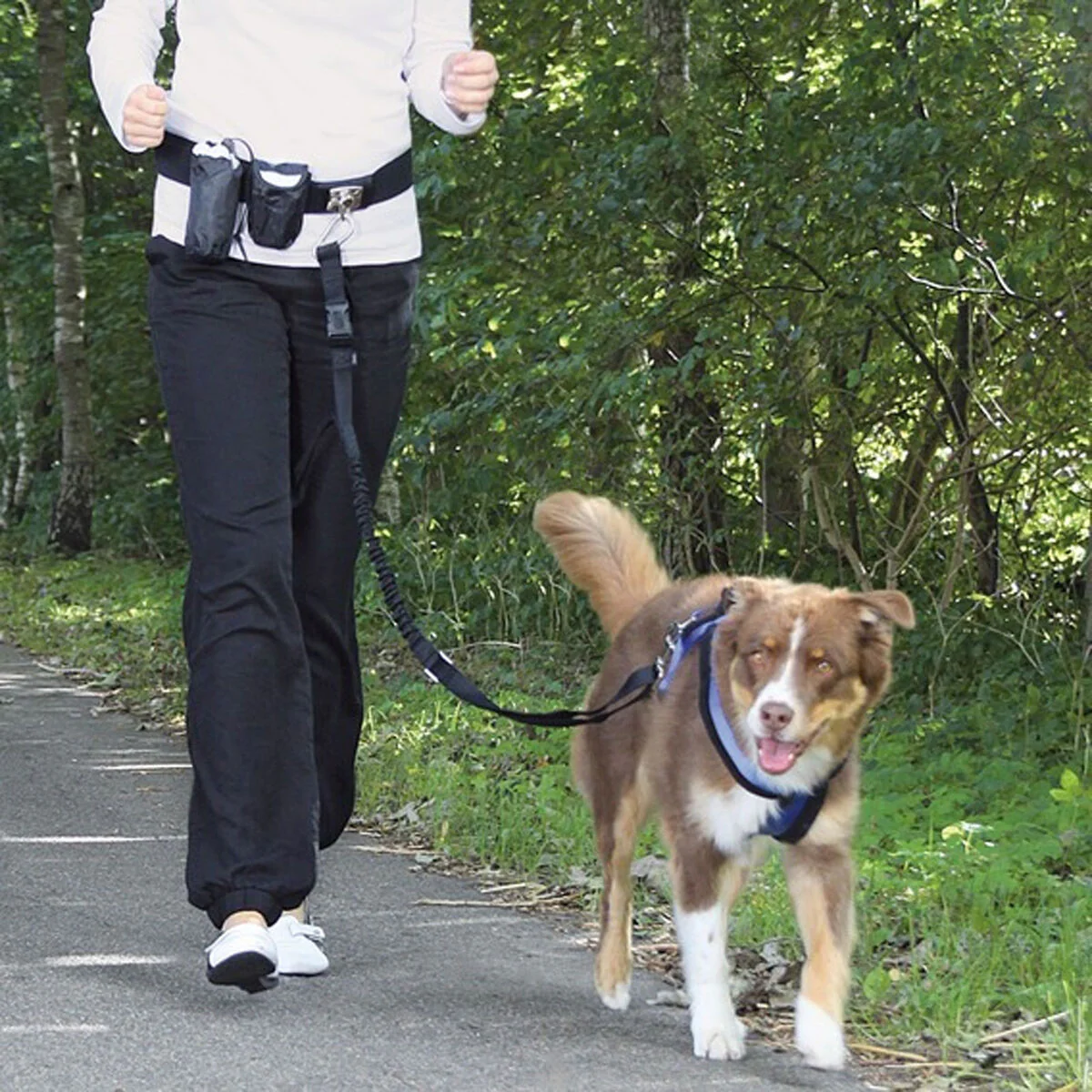 Hands Free Jogging Belt & Lead - Image 4
