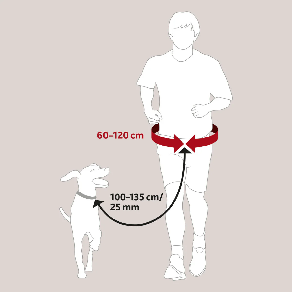 Hands Free Jogging Belt & Lead - Image 5