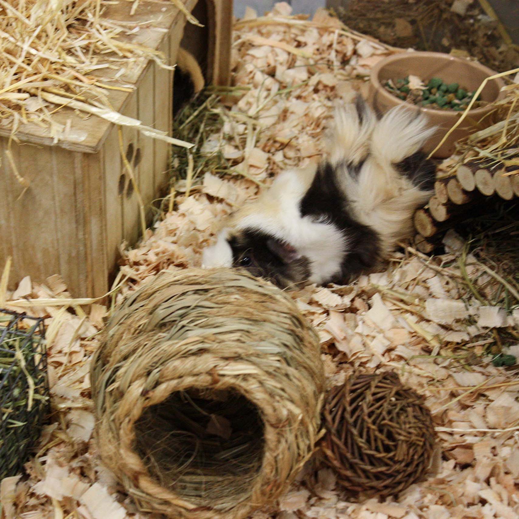 Happy Pet Jumbo Grass House - Image 3
