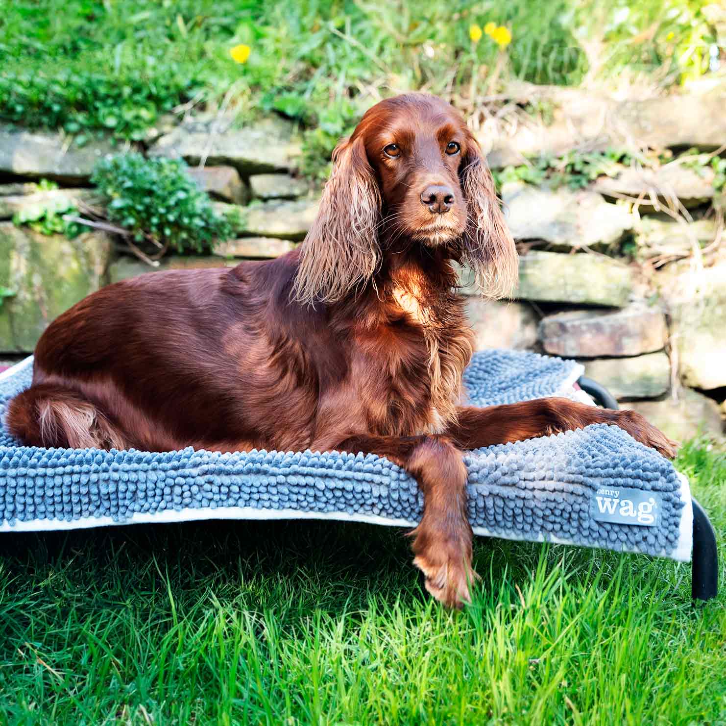 Henry Wag Microfibre Noodle Pet Mat - Image 2