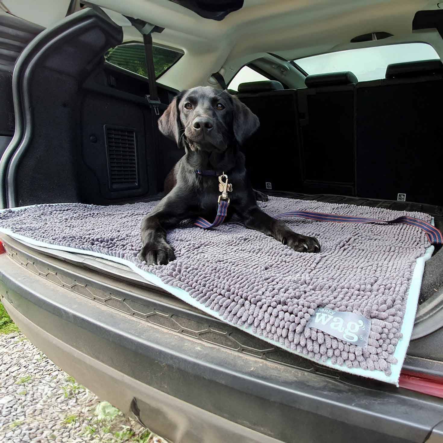 Henry Wag Microfibre Noodle Pet Mat - Image 3