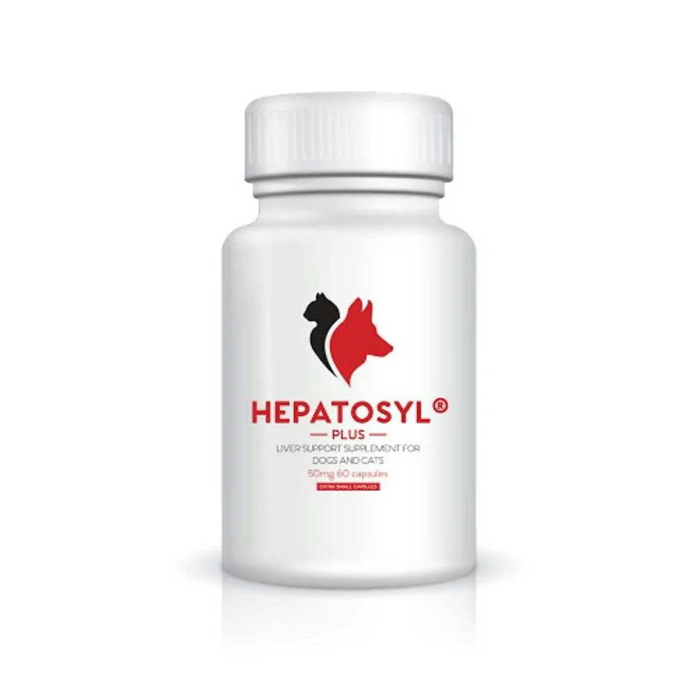 Hepatosyl Plus - 200mg - 60 Capsules