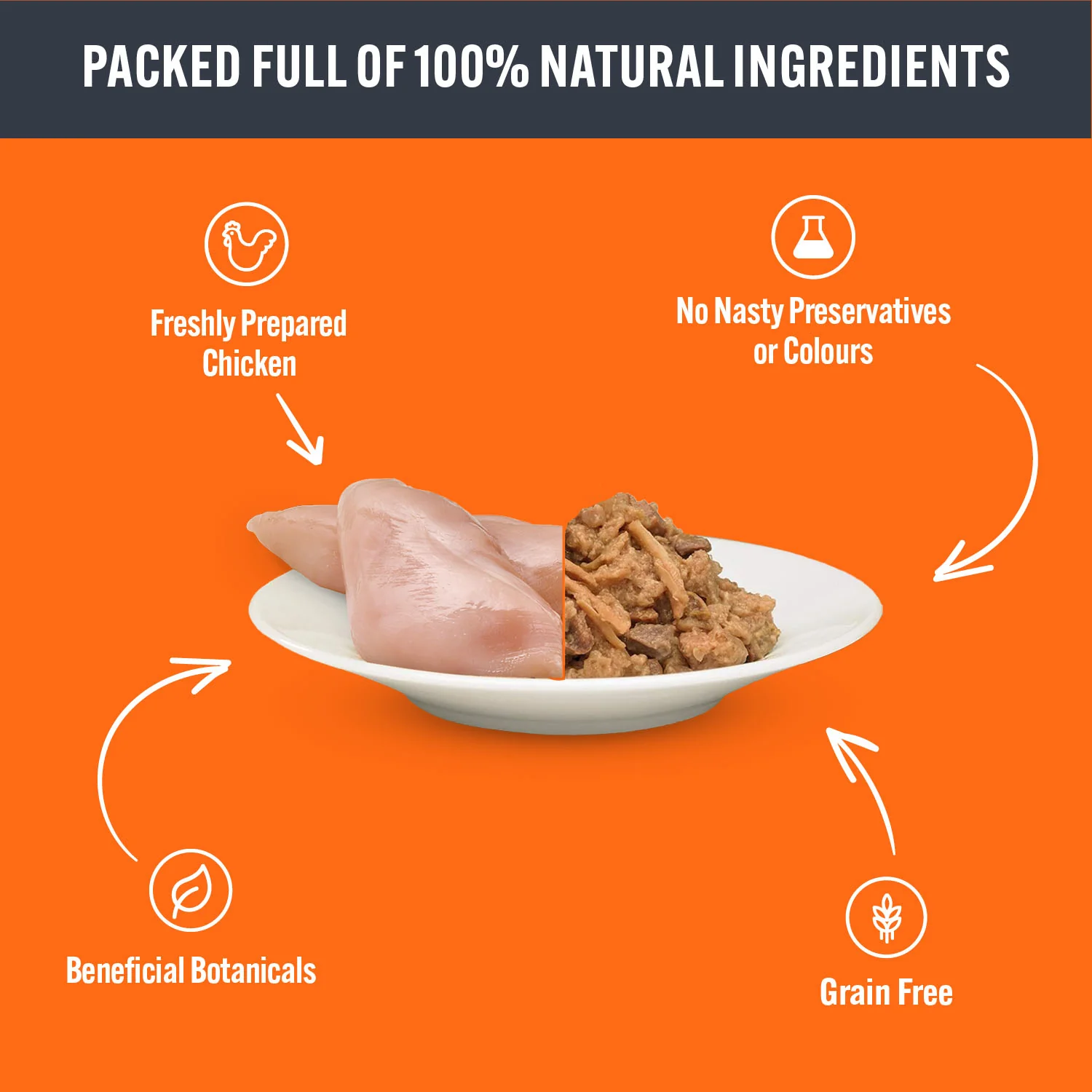 HiLife Adult Wet Cat Food - Chicken Pate Recipes - 32x70g Pouches - Image 5