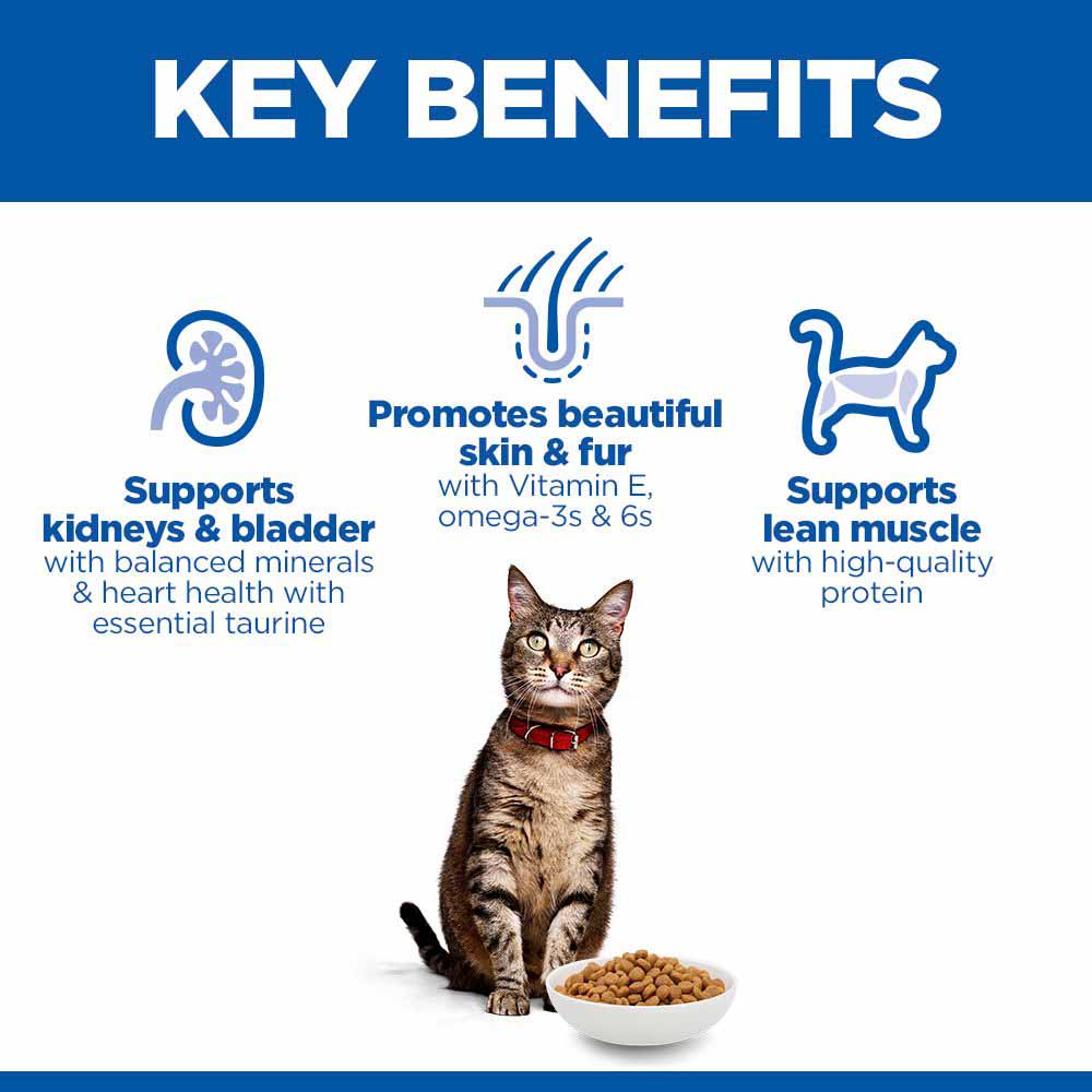 Hills Science Plan Adult Dry Cat Food - Chicken - Image 3