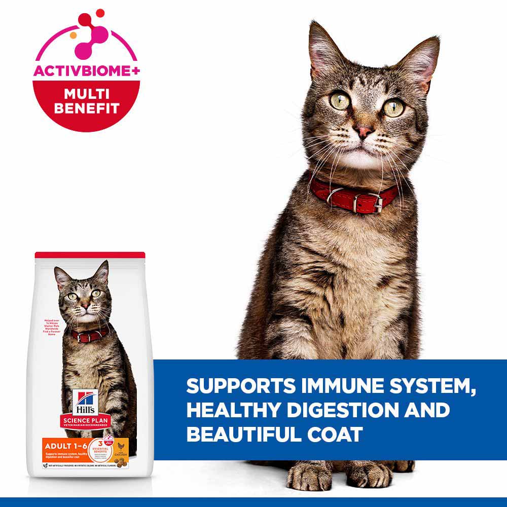 Hills Science Plan Adult Dry Cat Food - Chicken - Image 4