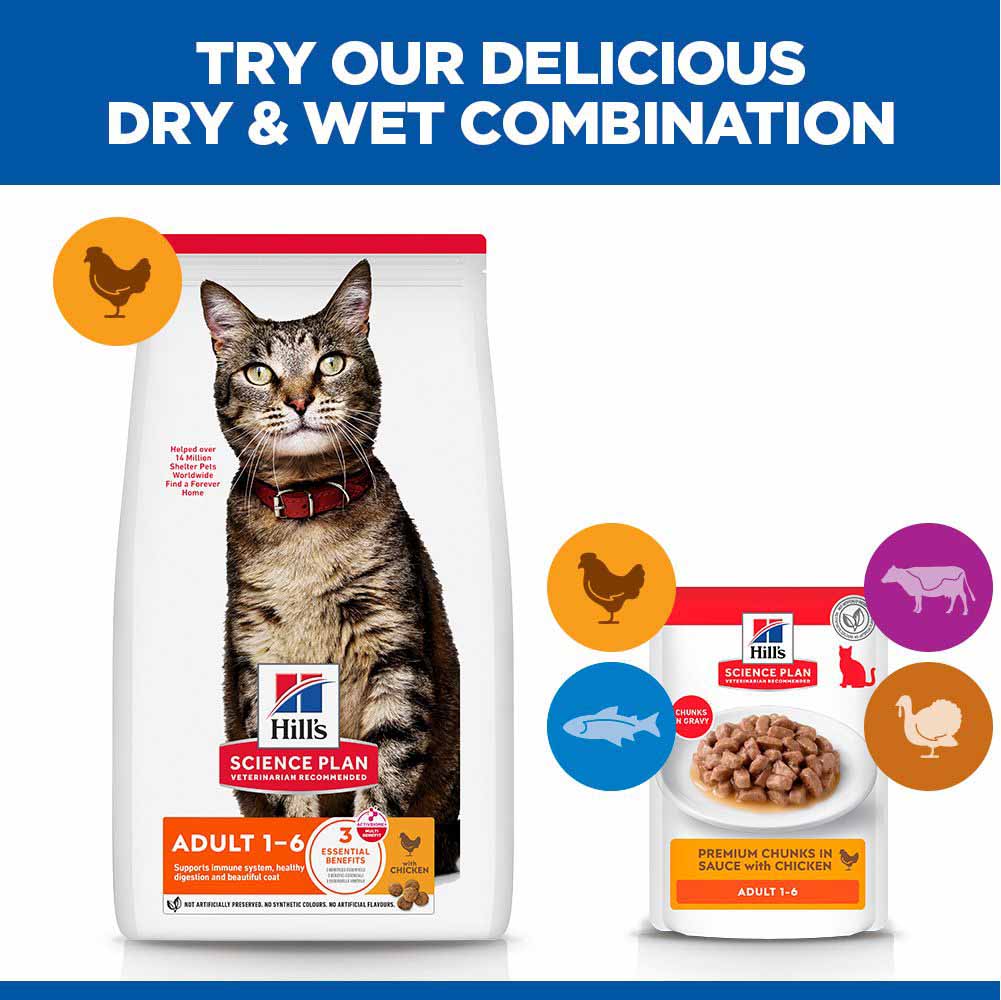 Hills Science Plan Adult Dry Cat Food - Chicken - Image 6