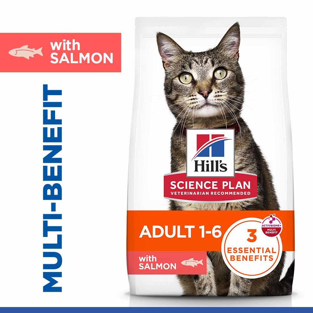 Hills Science Plan Adult Dry Cat Food - Salmon - Image 2
