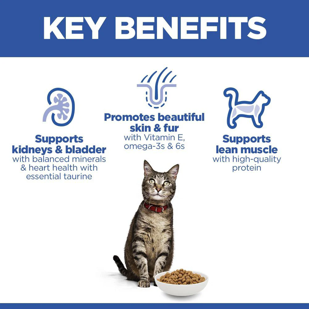 Hills Science Plan Adult Dry Cat Food - Salmon - Image 3