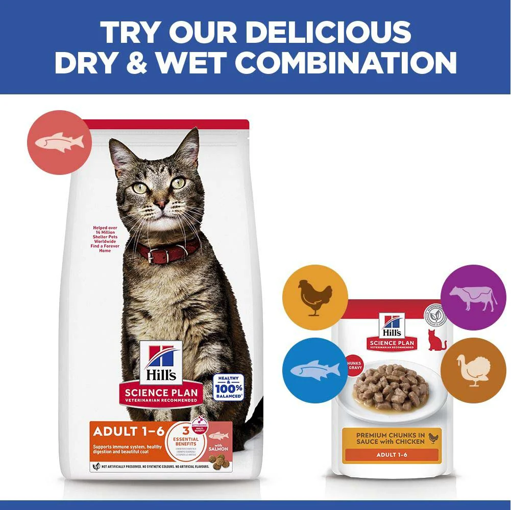 Hills Science Plan Adult Dry Cat Food - Salmon - Image 4