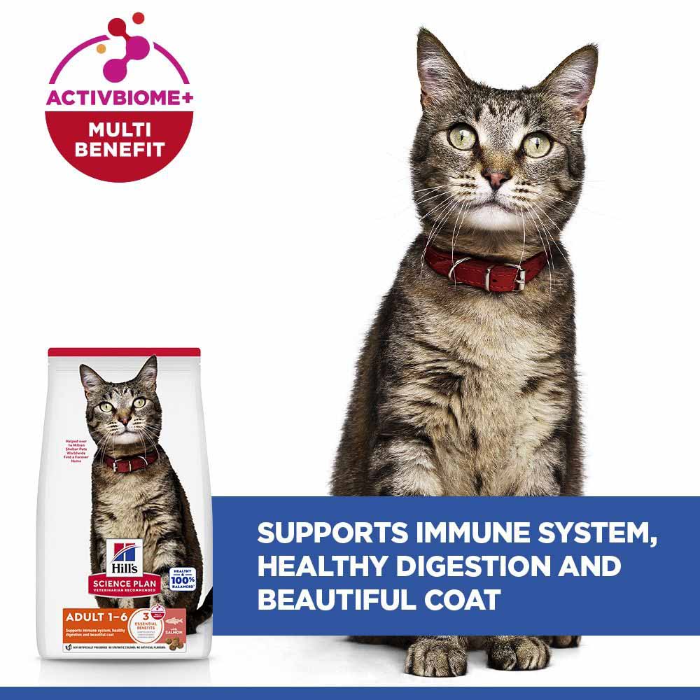 Hills Science Plan Adult Dry Cat Food - Salmon - Image 5