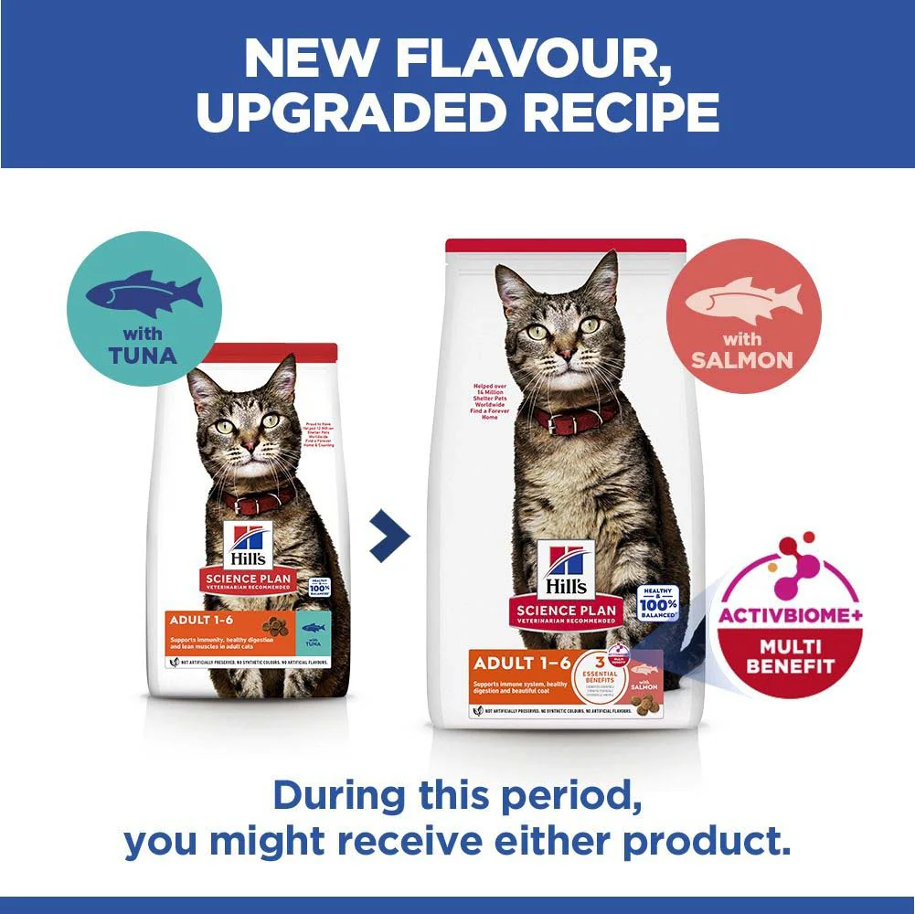 Hills Science Plan Adult Dry Cat Food - Salmon - Image 7
