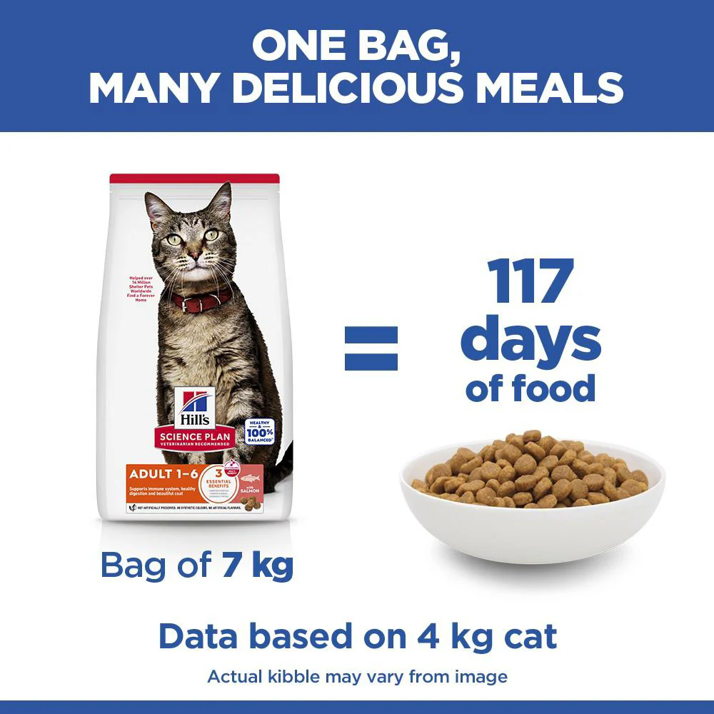 Hills Science Plan Adult Dry Cat Food - Salmon - Image 8