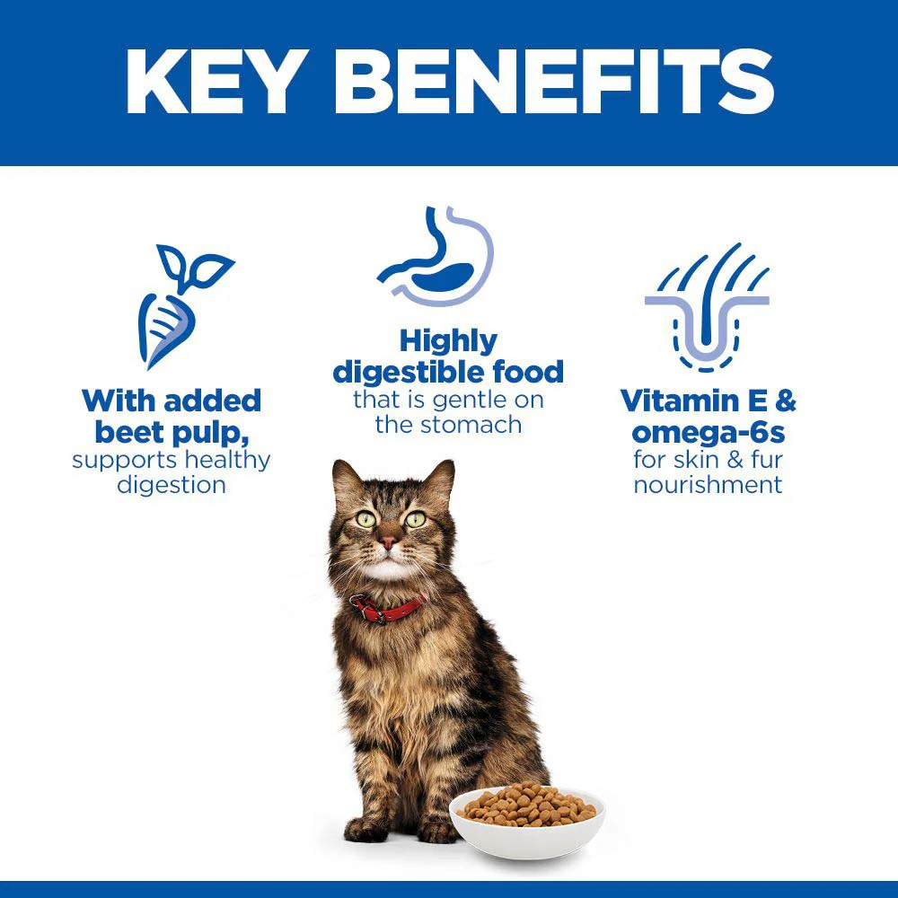 Hills Science Plan Adult Sensitive Stomach & Skin Dry Cat Food - Chicken - Image 3