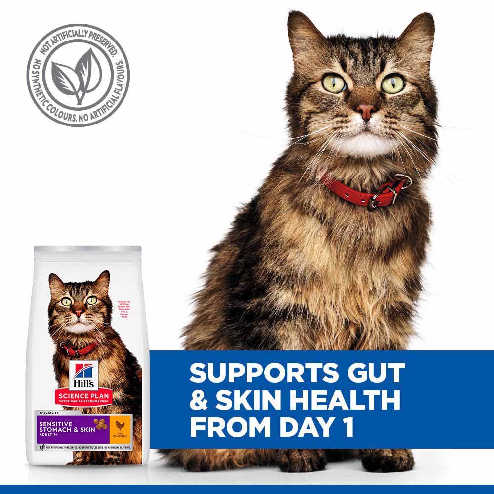 Hills Science Plan Adult Sensitive Stomach & Skin Dry Cat Food - Chicken - Image 4