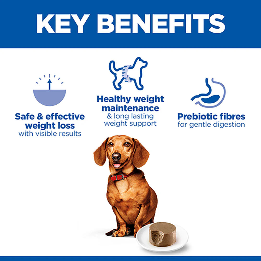 Hills Science Plan Adult Small & Mini Perfect Weight Wet Dog Food - Turkey - 12x200g Cans - Image 3