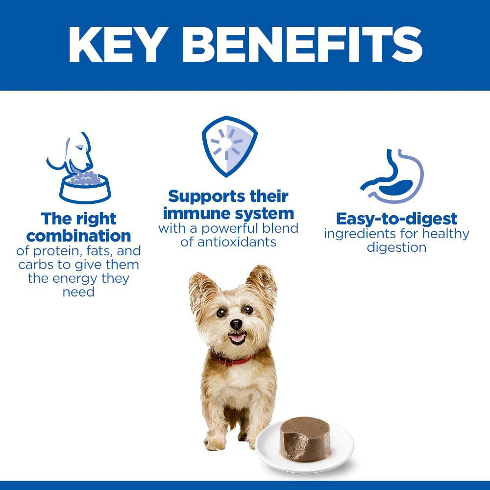 Hills Science Plan Adult Small & Mini Wet Dog Food - Chicken - 12x200g Cans - Image 3