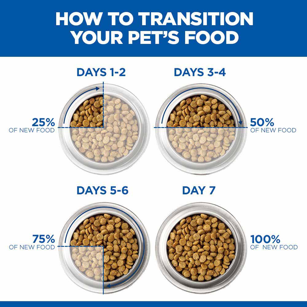 Hills Science Plan Adult Wet Dog Food - Beef - 12x370g Cans - Image 7