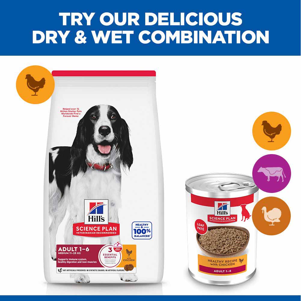 Hills Science Plan Adult Wet Dog Food - Chicken - 12x370g Cans - Image 5