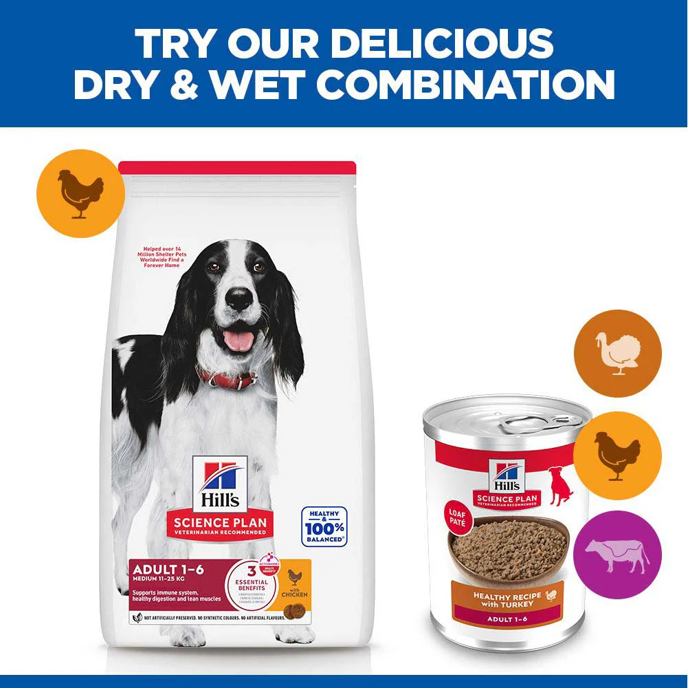 Hills Science Plan Adult Wet Dog Food - Turkey - 12x370g Cans - Image 5