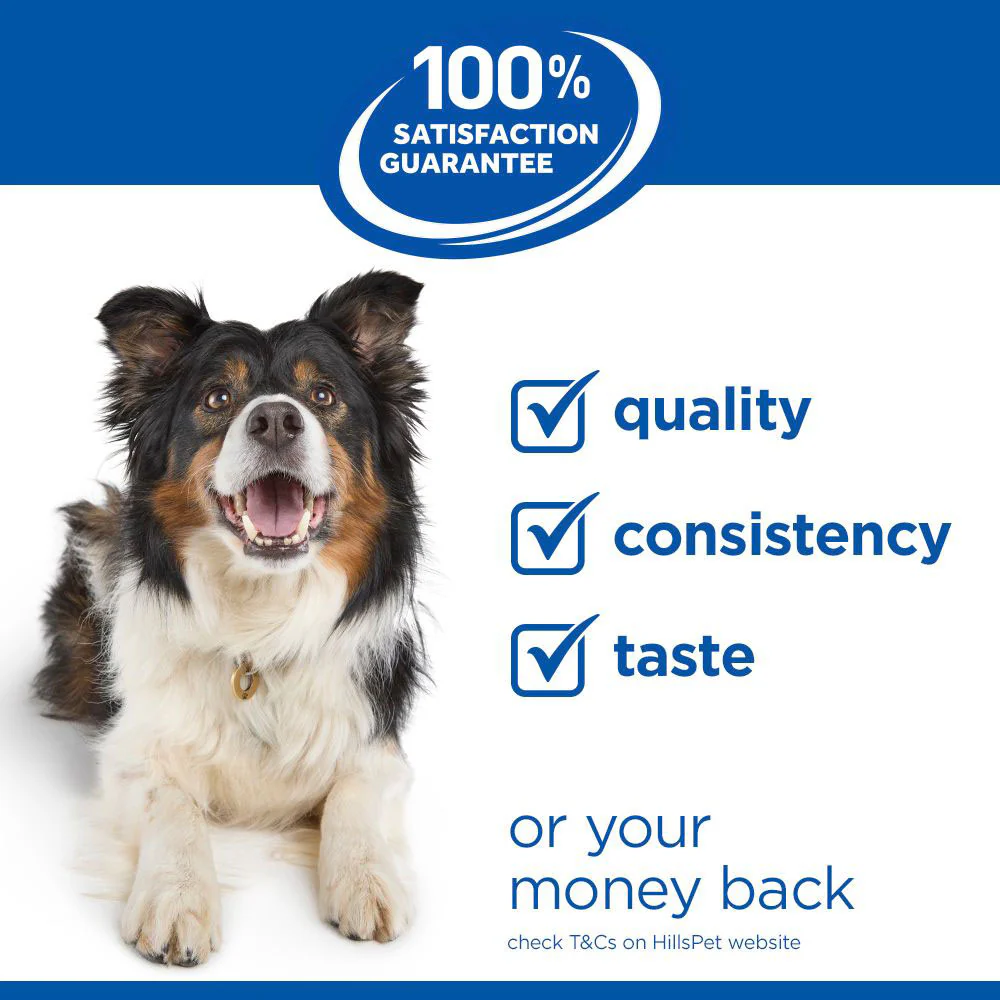 Hills Science Plan Adult Wet Dog Food - Turkey - 12x370g Cans - Image 8
