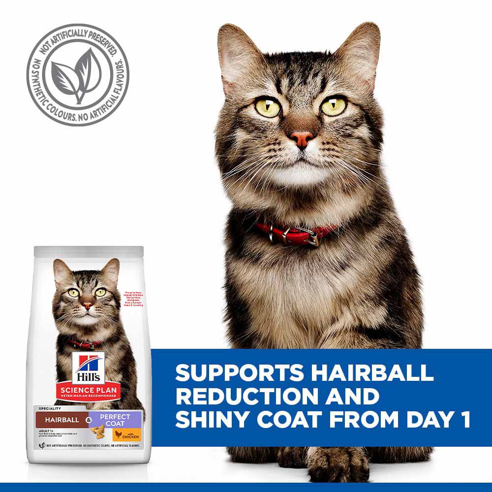 Hills Science Plan Hairball & Perfect Coat Adult Dry Cat Food - Chicken - Image 4