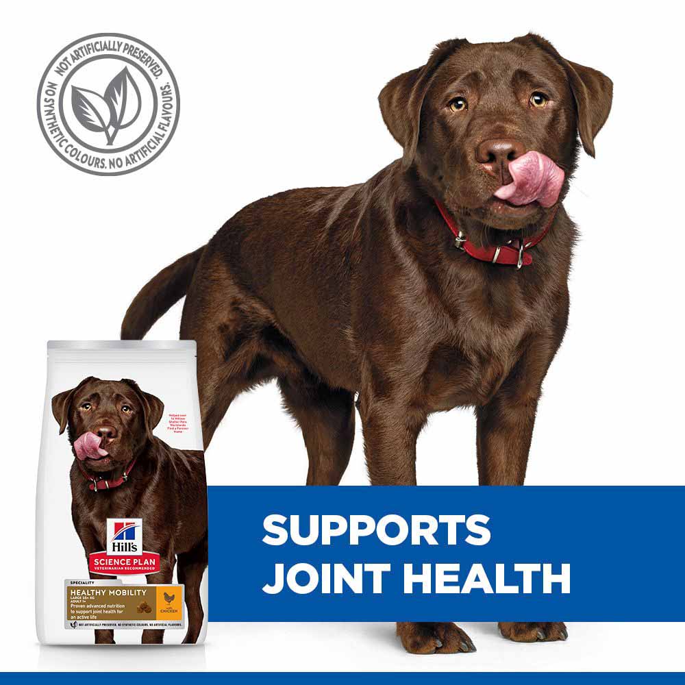 Hills Science Plan Healthy Mobility Large Breed Adult Dry Dog Food - Chicken - Image 5