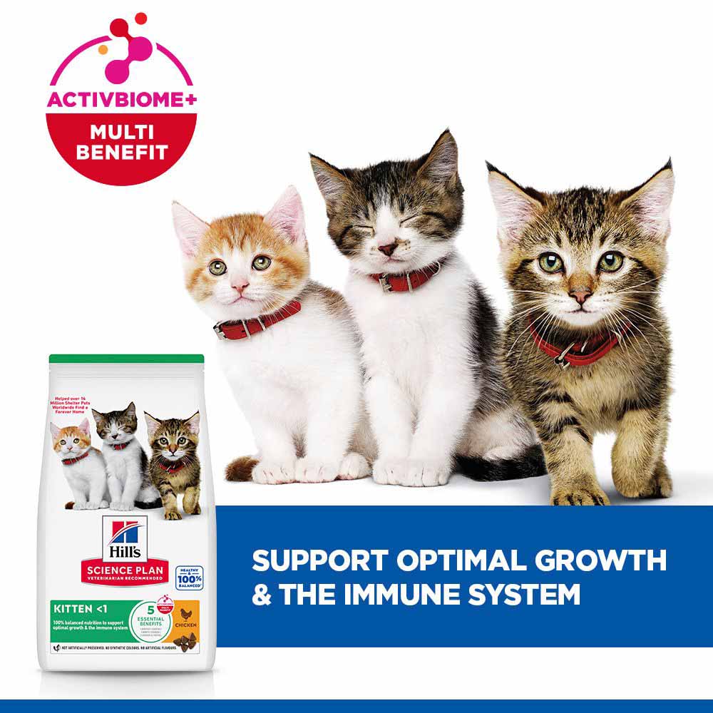 Hills Science Plan Kitten Dry Cat Food - Chicken - Image 4