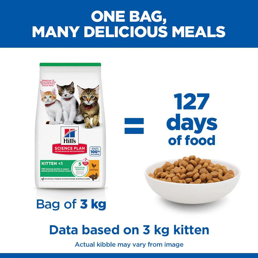 Hills Science Plan Kitten Dry Cat Food - Chicken - Image 5