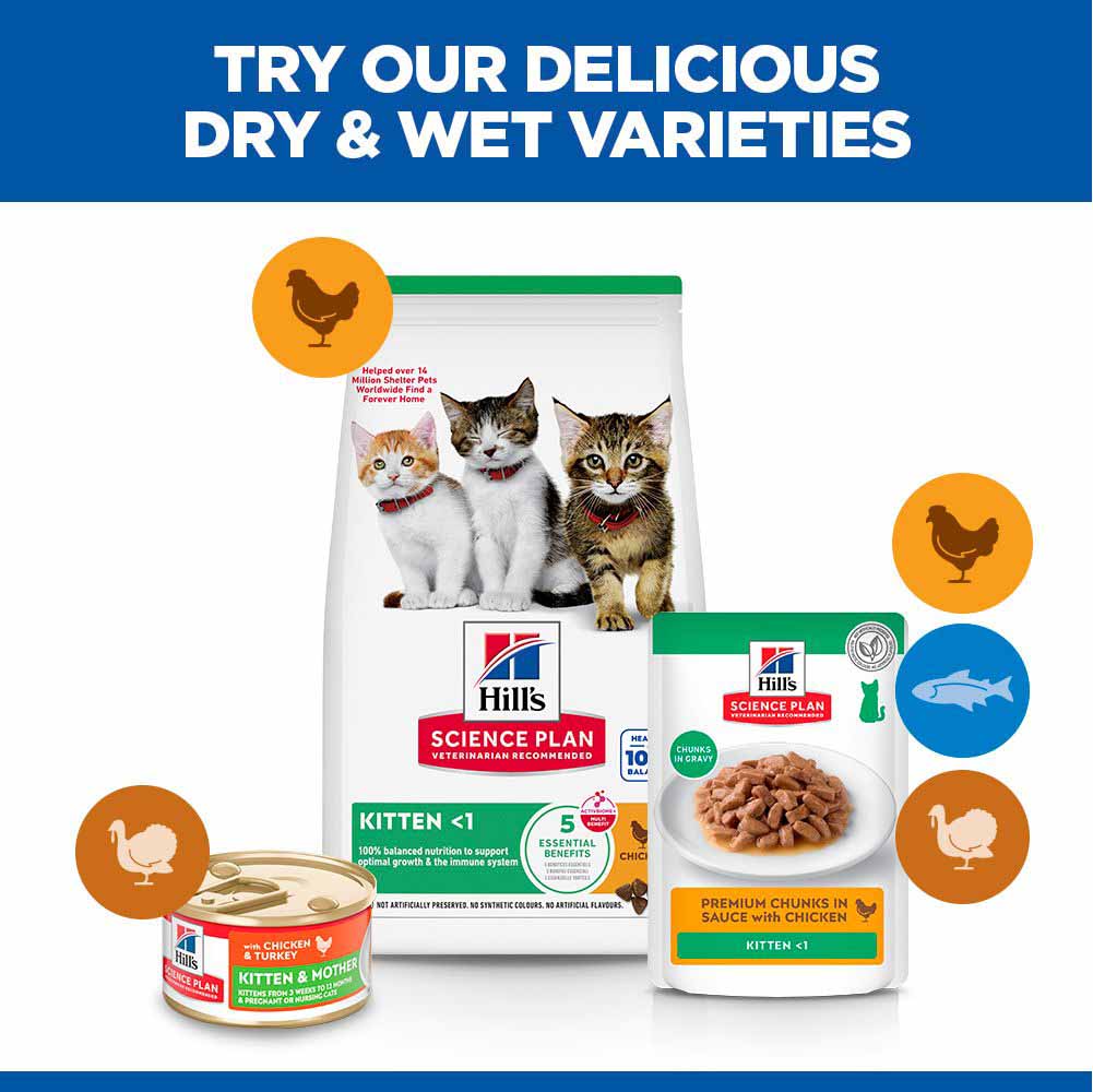 Hills Science Plan Kitten Dry Cat Food - Chicken - Image 6