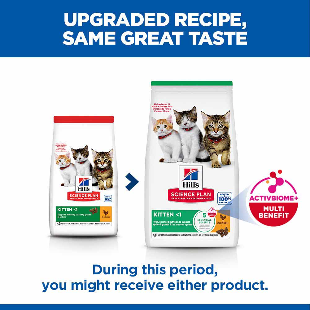 Hills Science Plan Kitten Dry Cat Food - Chicken - Image 8