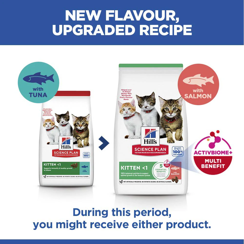 Hills Science Plan Kitten Dry Cat Food - Tuna - 7kg - Image 2