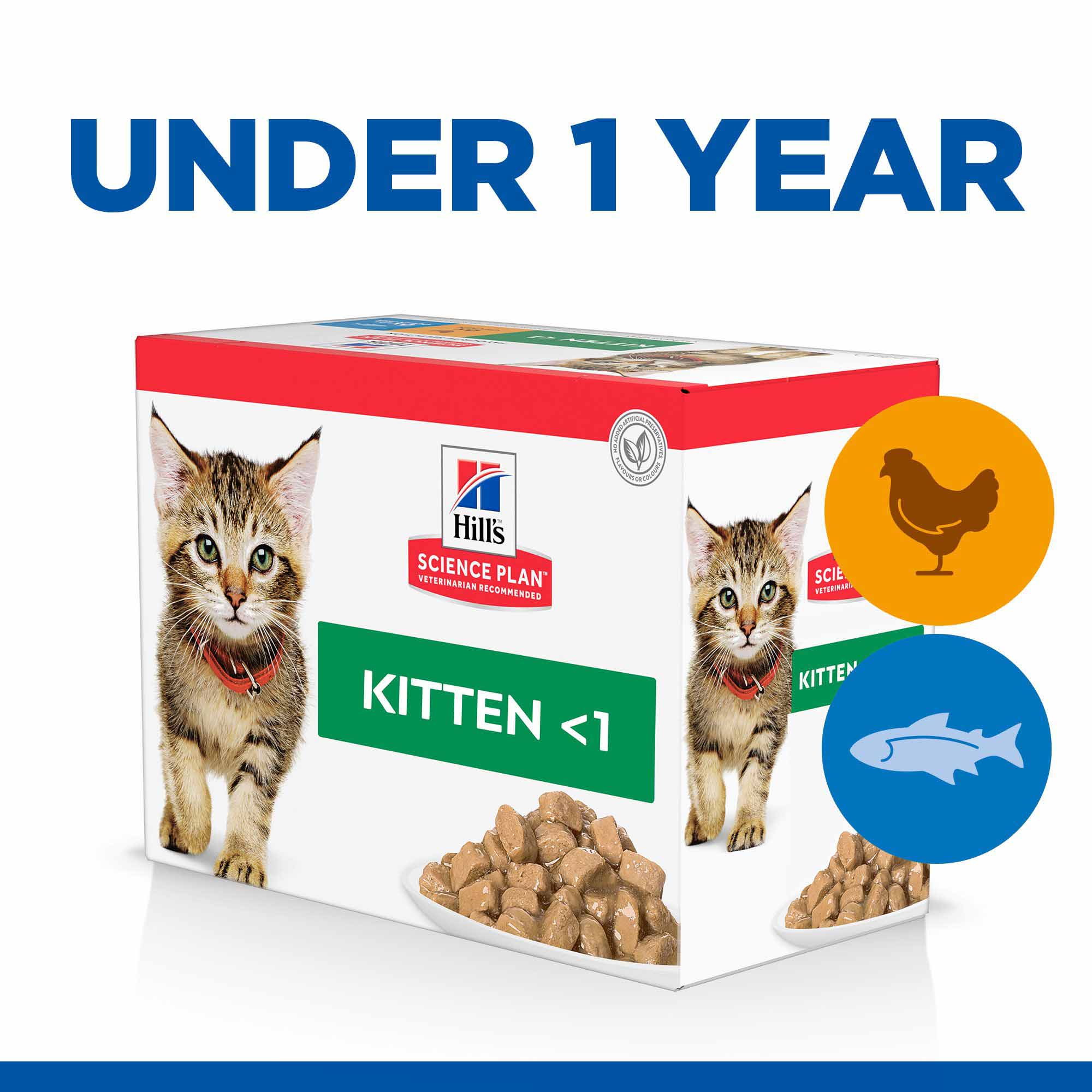 Hills Science Plan Kitten Wet Cat Food in Gravy - Chicken & Ocean Fish – 12x85g Pouches - Image 2