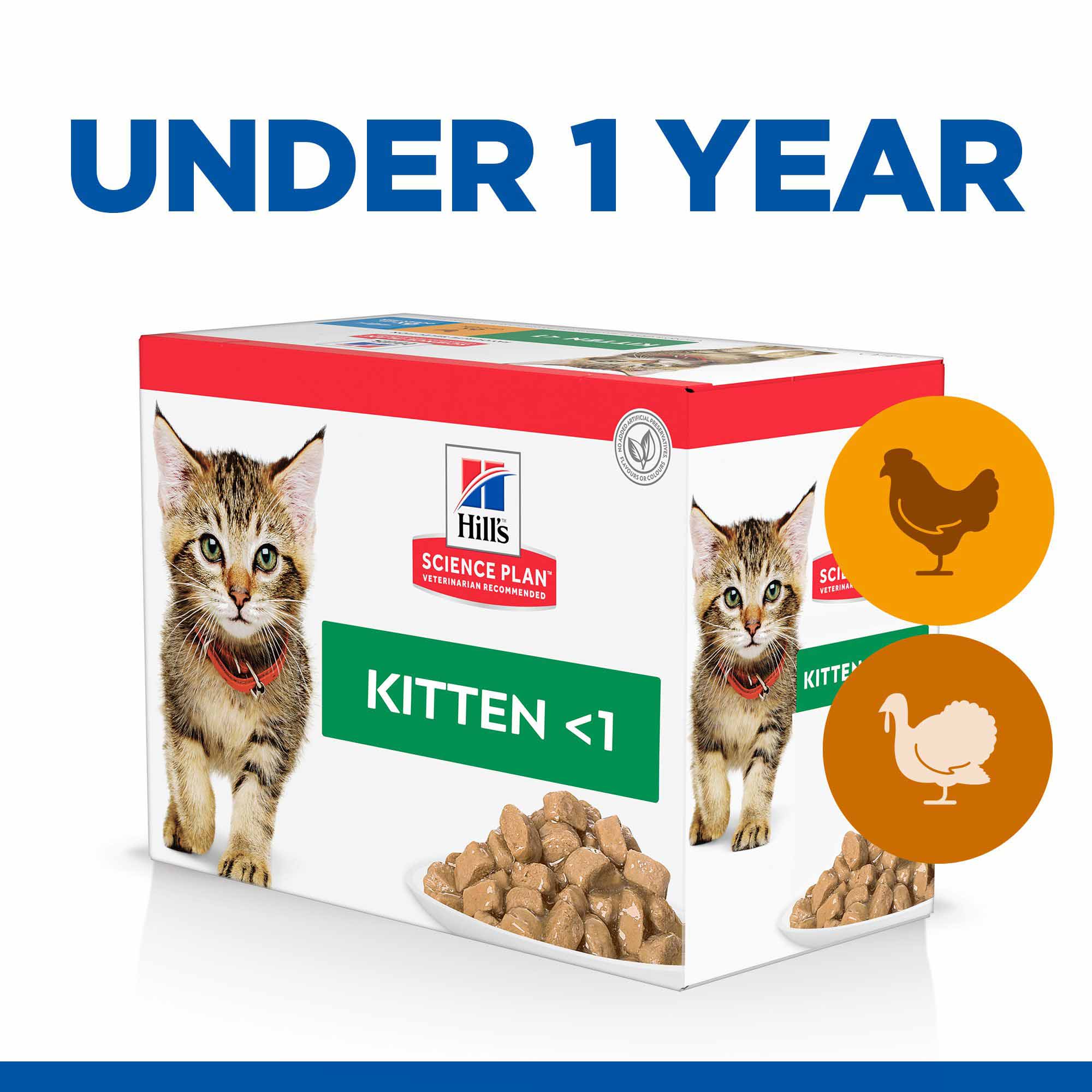 Hills Science Plan Kitten Wet Cat Food in Gravy - Chicken & Turkey β 12x85g Pouches - Image 2