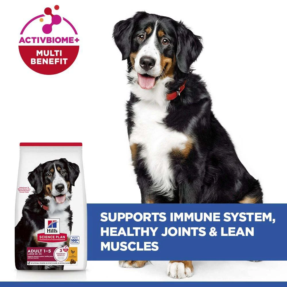 Hills Science Plan Large Breed Adult Dry Dog Food - Chicken - Image 4
