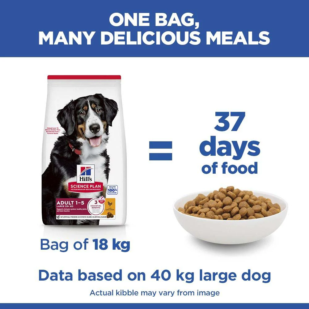 Hills Science Plan Large Breed Adult Dry Dog Food - Chicken - Image 5