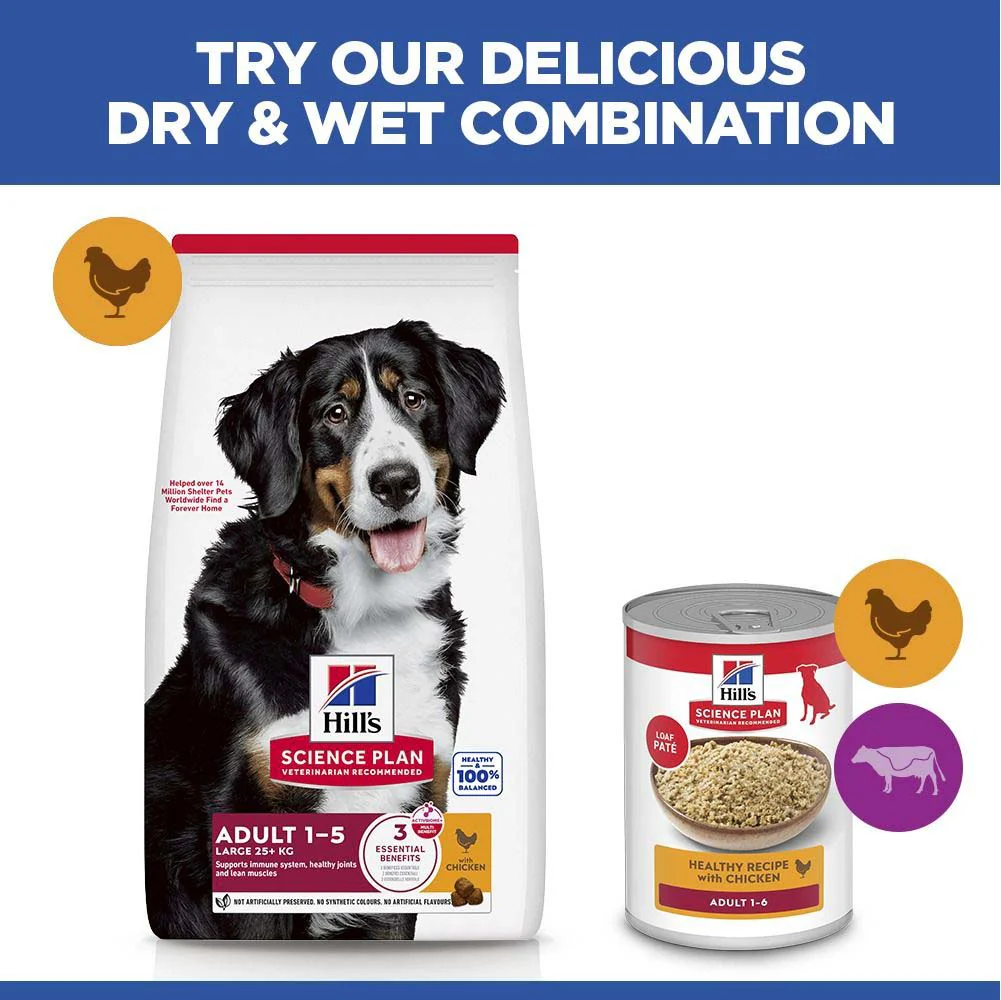 Hills Science Plan Large Breed Adult Dry Dog Food - Chicken - Image 6