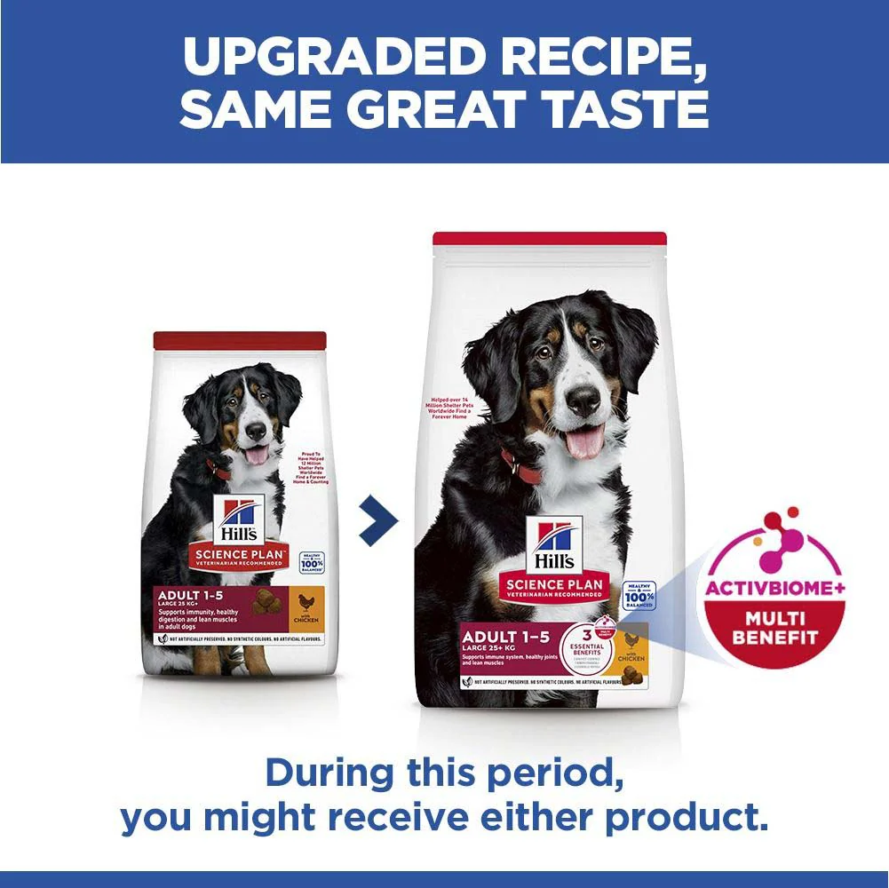Hills Science Plan Large Breed Adult Dry Dog Food - Chicken - Image 8