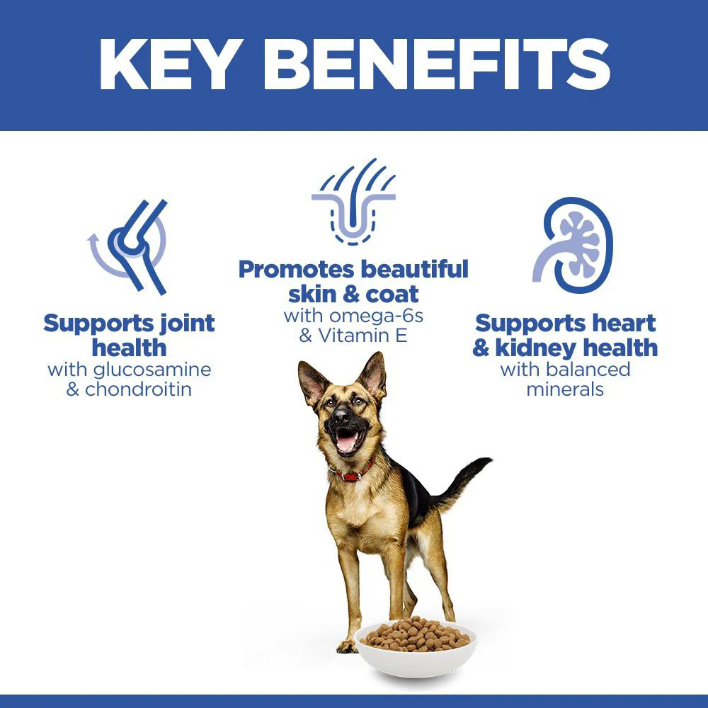 Hills Science Plan Large Breed Mature Dry Dog Food - Chicken - Image 3