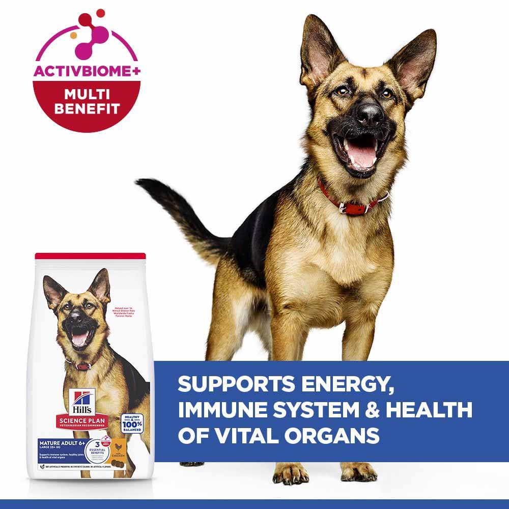 Hills Science Plan Large Breed Mature Dry Dog Food - Chicken - Image 4