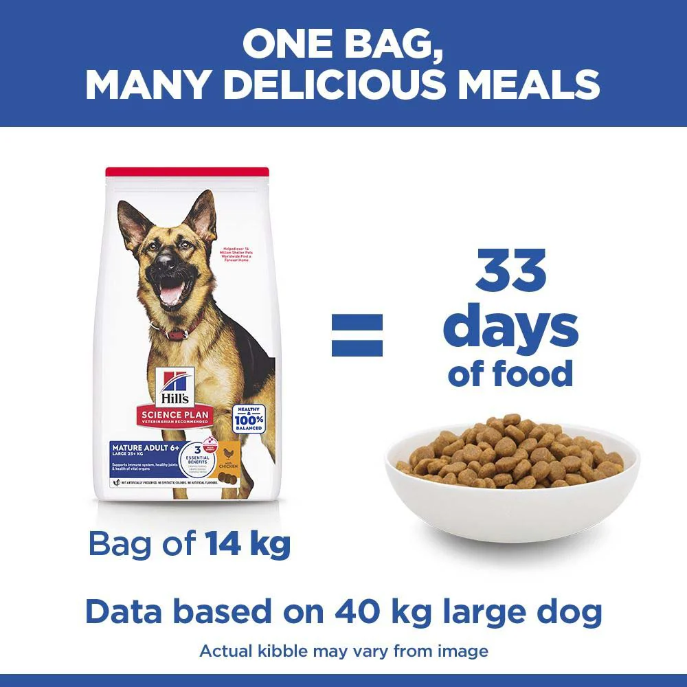 Hills Science Plan Large Breed Mature Dry Dog Food - Chicken - Image 5
