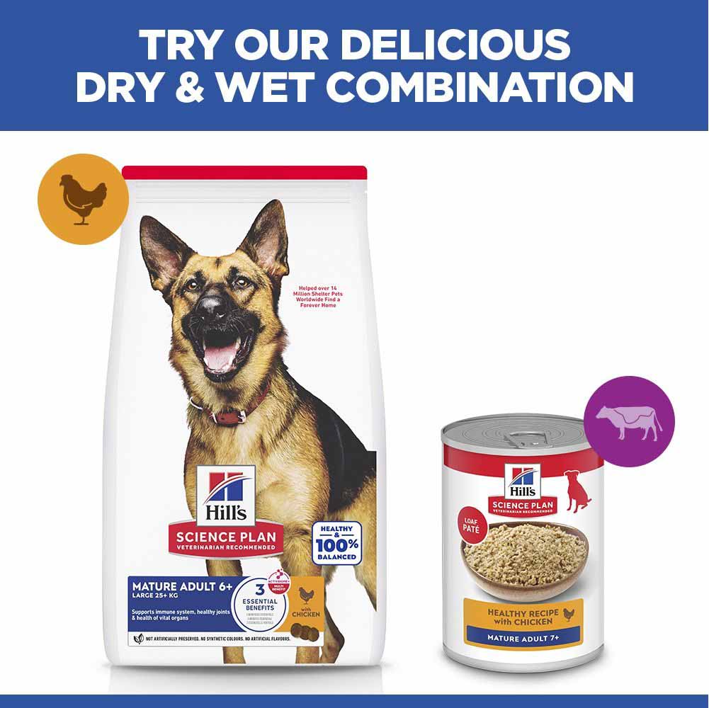 Hills Science Plan Large Breed Mature Dry Dog Food - Chicken - Image 6