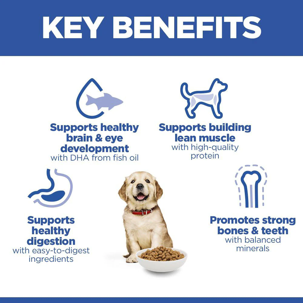 Hills Science Plan Large Breed Puppy Dry Dog Food - Chicken - Image 3