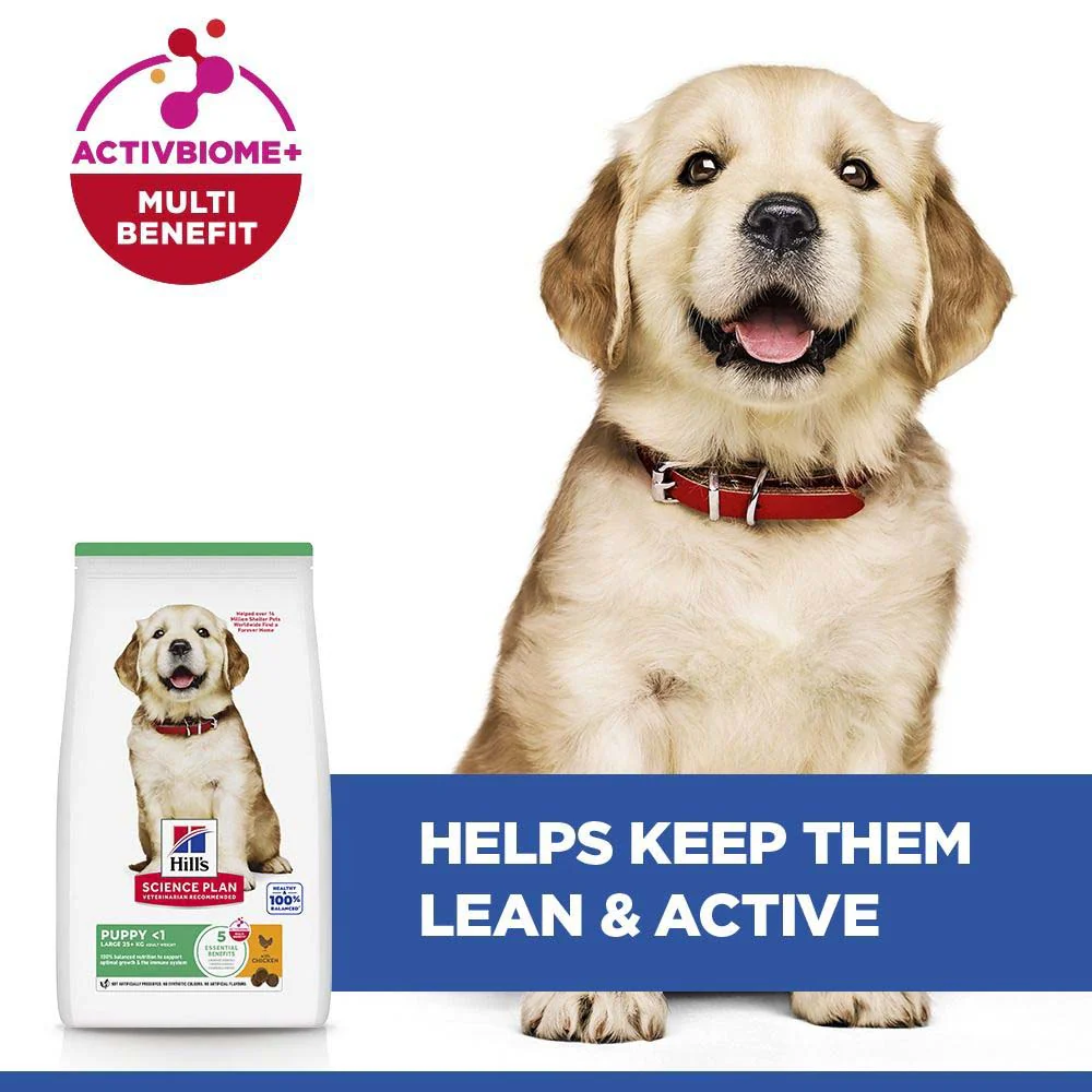 Hills Science Plan Large Breed Puppy Dry Dog Food - Chicken - Image 4