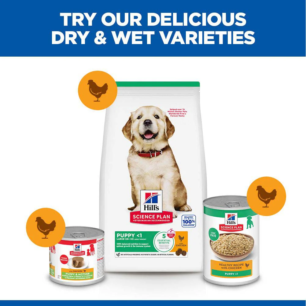 Hills Science Plan Large Breed Puppy Dry Dog Food - Chicken - Image 6