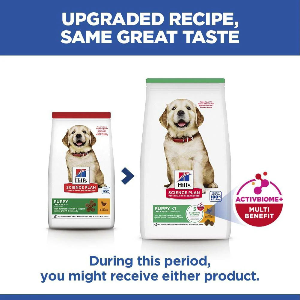 Hills Science Plan Large Breed Puppy Dry Dog Food - Chicken - Image 8