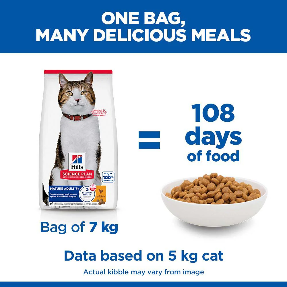 Hills Science Plan Mature Adult Dry Cat Food Chicken - Image 6