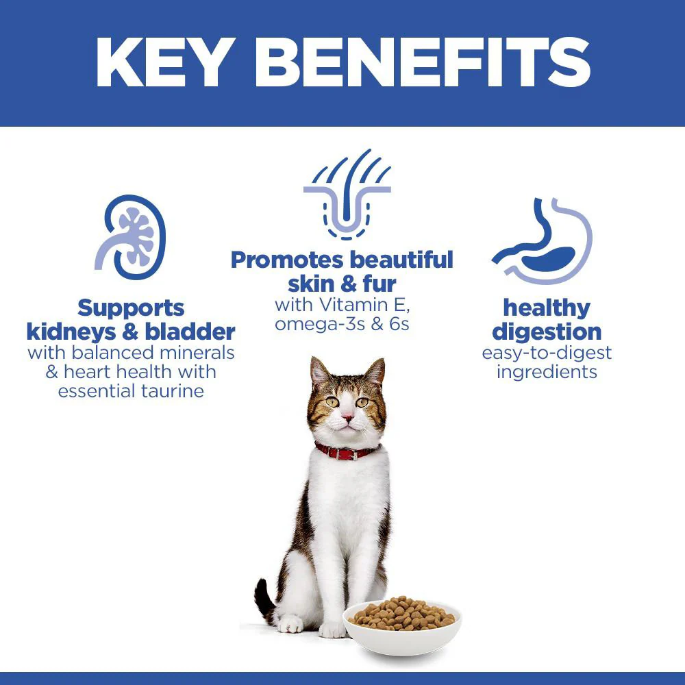 Hills Science Plan Mature Dry Cat Food - Salmon - Image 3
