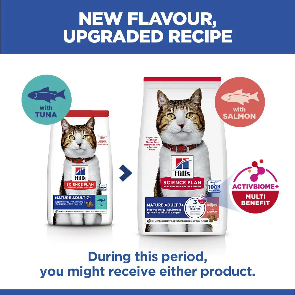 Hills Science Plan Mature Dry Cat Food - Salmon - Image 5
