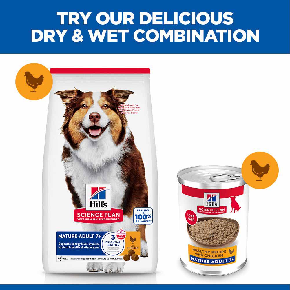 Hills Science Plan Mature Wet Dog Food - Chicken - 12x370g Cans - Image 4